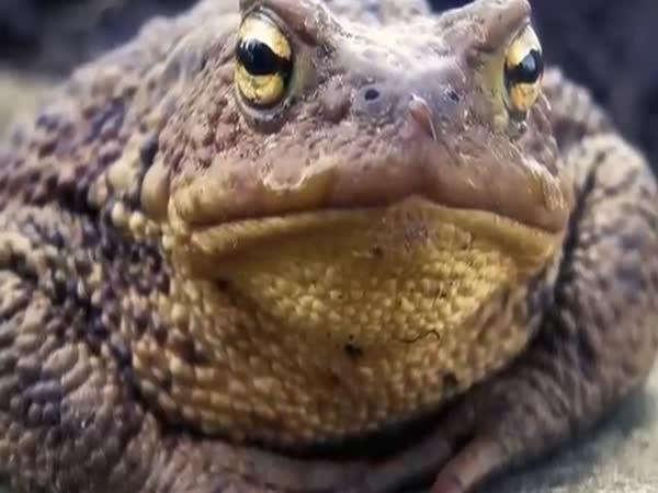    Neuvěřitelné nálezy uvnitř skal    