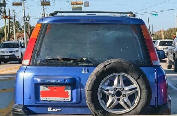     OBRÁZKY pro dnešní den 4595. díl    