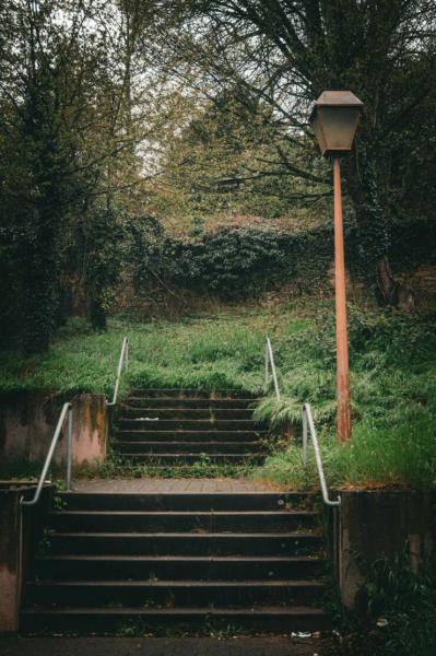     OBRÁZKY pro dnešní den 4629. díl    