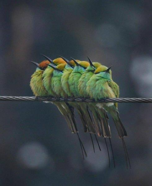     OBRÁZKY pro dnešní den 4715. díl    