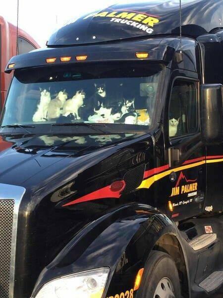     OBRÁZKY pro dnešní den 4732. díl    