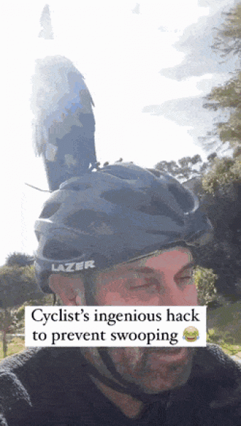     OBRÁZKY pro dnešní den 4744. díl    