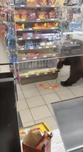     OBRÁZKY pro dnešní den 4753. díl    