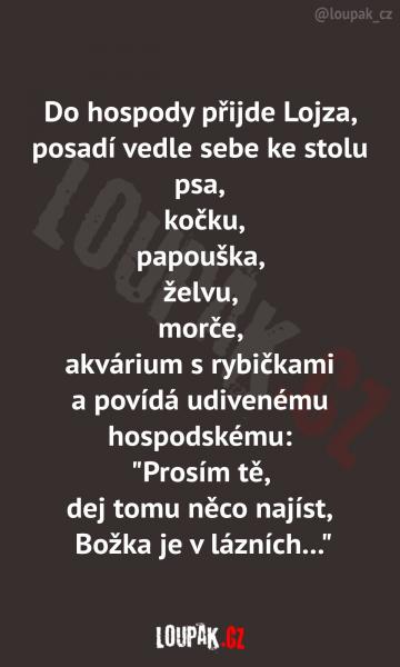     OBRÁZKY – Naše MEME #1785    