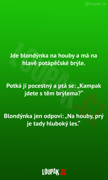     OBRÁZKY – Vtipy a příběhy #360    