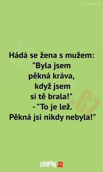     OBRÁZKY – Naše MEME #1805    