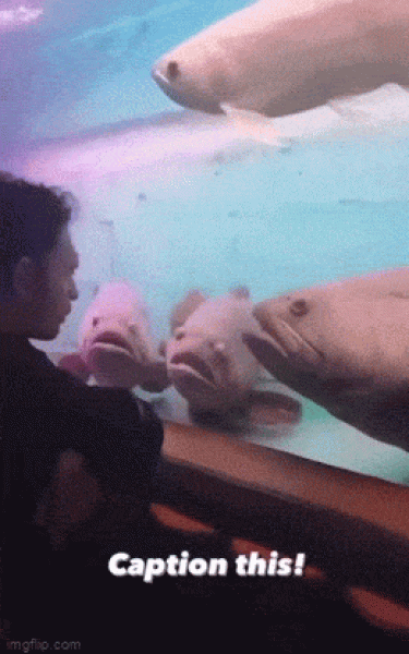     OBRÁZKY pro dnešní den 4802. díl    