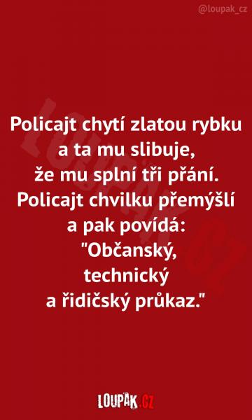     OBRÁZKY – Naše MEME #1827    