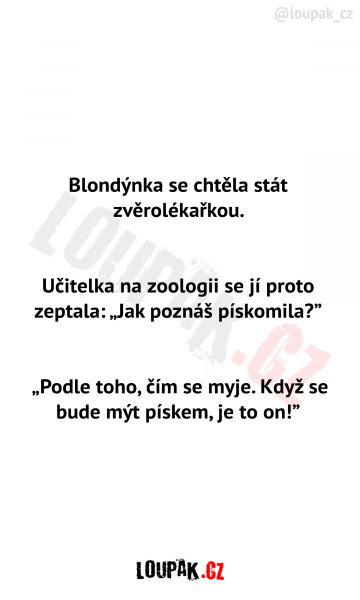     OBRÁZKY – Vtipy a příběhy #370    
