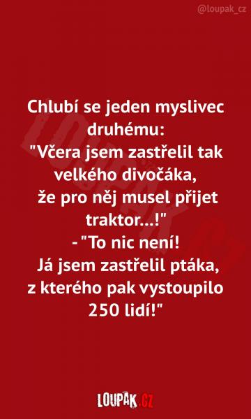     OBRÁZKY – Naše MEME #1842    