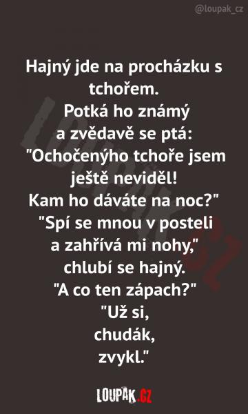     OBRÁZKY – Naše MEME #1843    