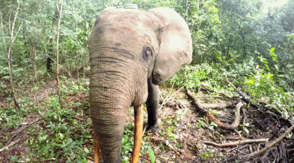     OBRÁZKY pro dnešní den 4828. díl    