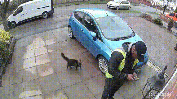 OBRÁZKY pro dnešní den 4836. díl