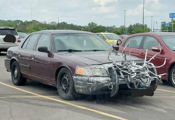 OBRÁZKY pro dnešní den 4837. díl