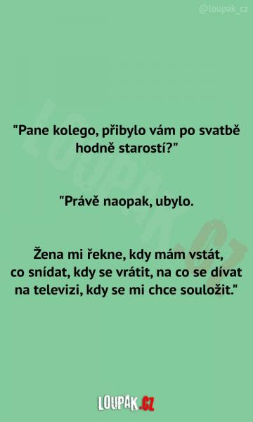     OBRÁZKY – Naše MEME #1860    