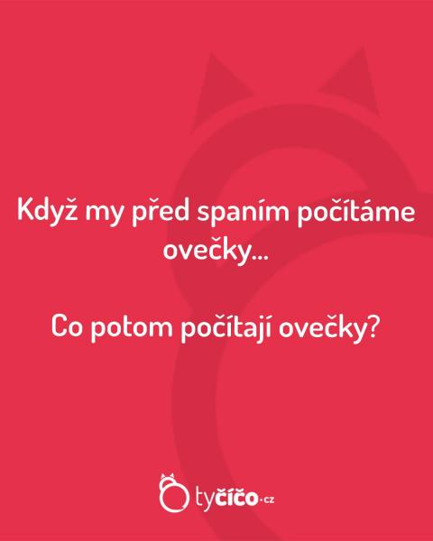     OBRÁZKY – Naše MEME #1862    
