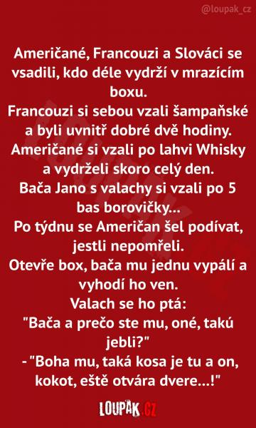     OBRÁZKY – Naše MEME #1863    
