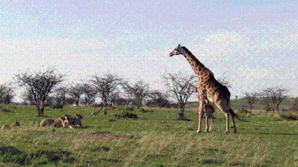     OBRÁZKY pro dnešní den 4848. díl    