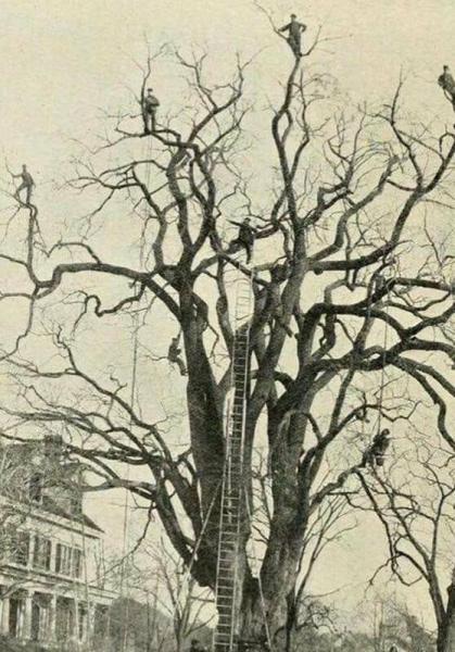     OBRÁZKY pro dnešní den 4849. díl    