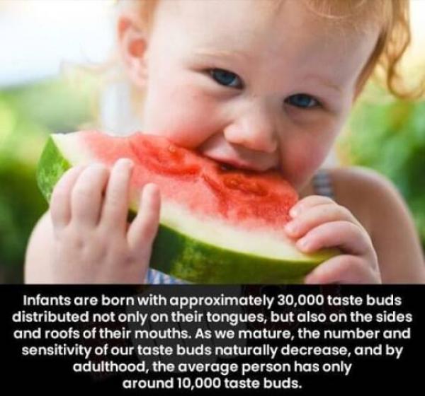     OBRÁZKY pro dnešní den 4853. díl    