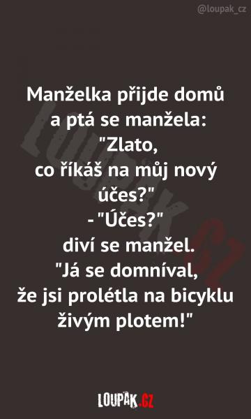     OBRÁZKY – Naše MEME #1874    