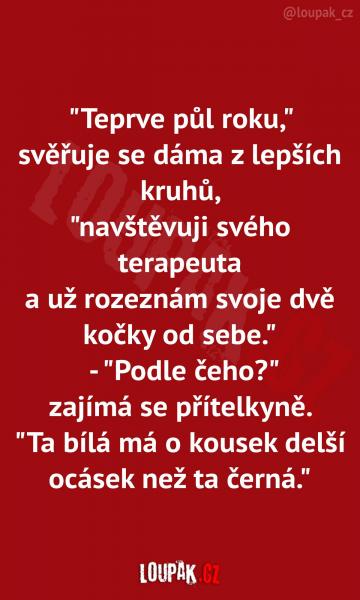     OBRÁZKY – Naše MEME #1877    