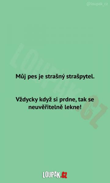     OBRÁZKY – Naše MEME #1885    