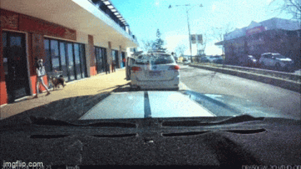     OBRÁZKY pro dnešní den 4869. díl    