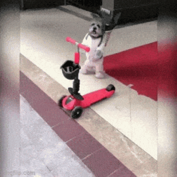     OBRÁZKY pro dnešní den 4872. díl    