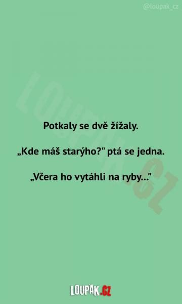     OBRÁZKY – Naše MEME #1890    