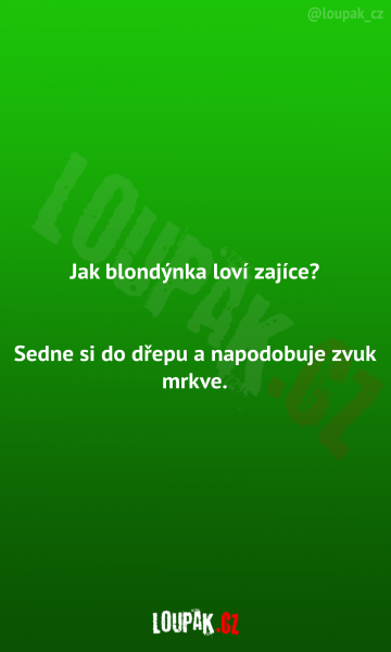     OBRÁZKY – Vtipy a příběhy #387    