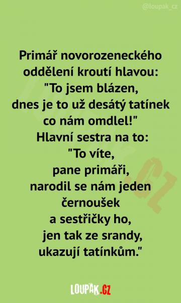     OBRÁZKY – Naše MEME #1902    