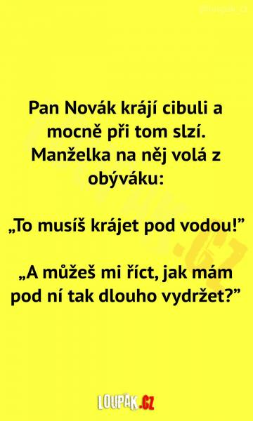     OBRÁZKY – Naše MEME #1904    