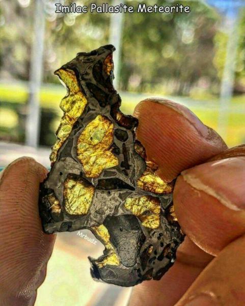     OBRÁZKY pro dnešní den 4889. díl    