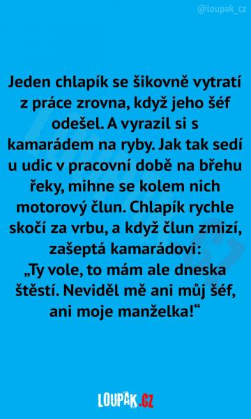     OBRÁZKY – Naše MEME #1920    