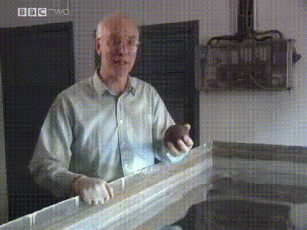     OBRÁZKY pro dnešní den 4921. díl    