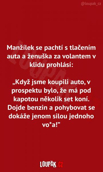     OBRÁZKY – Naše MEME #1942    