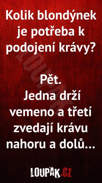     OBRÁZKY – Naše MEME #1948    