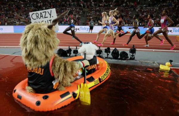   OBRÁZKY - Zajímavosti ze světa 2084.díl  