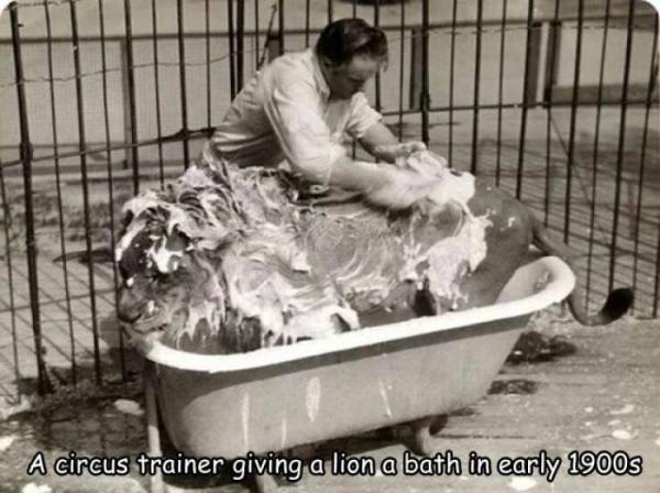     OBRÁZKY pro dnešní den 4940. díl    