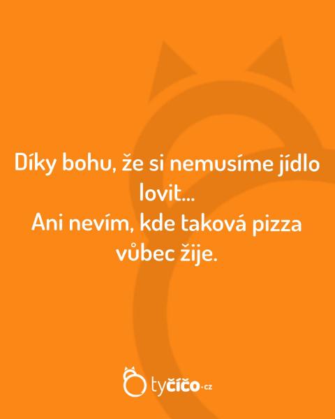     OBRÁZKY – Naše MEME #1962    