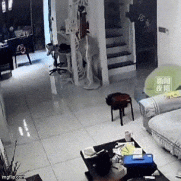     OBRÁZKY pro dnešní den 4945. díl    