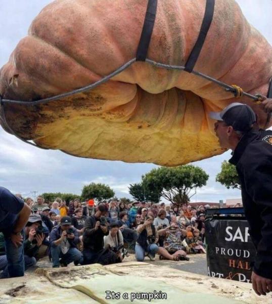     OBRÁZKY pro dnešní den 4955. díl    