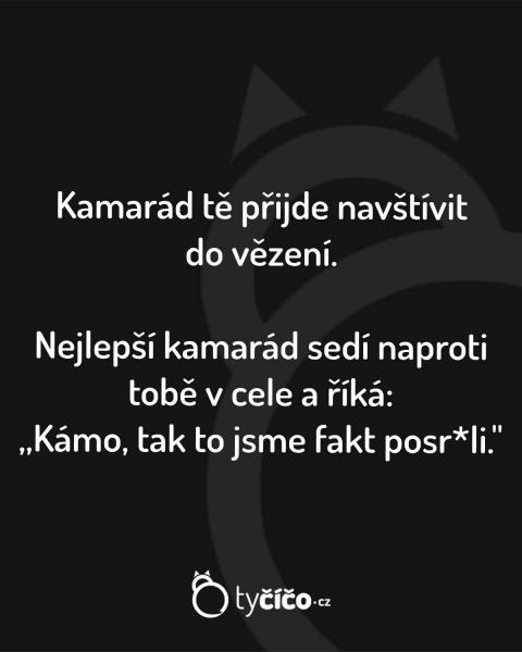     OBRÁZKY – Naše MEME #1977    