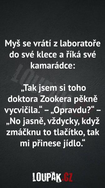     OBRÁZKY – Naše MEME #1978    