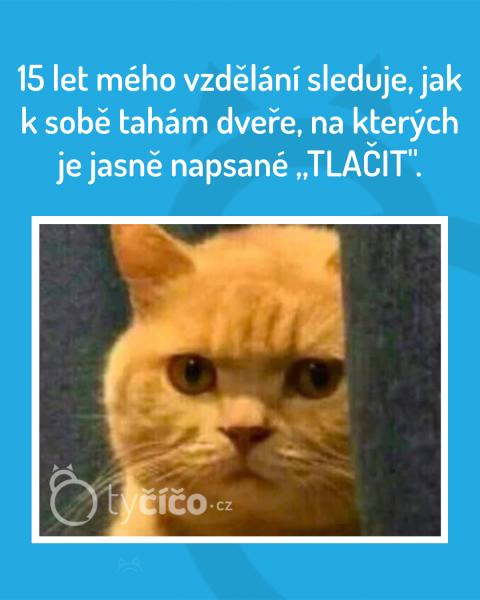     OBRÁZKY – Naše MEME #1984    