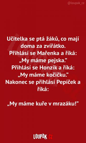     OBRÁZKY – Naše MEME #1992    