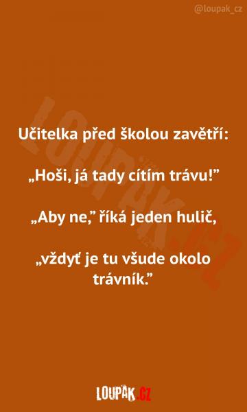     OBRÁZKY – Naše MEME #1991    