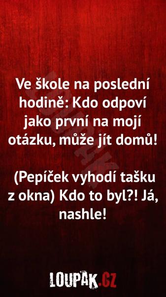     OBRÁZKY – Naše MEME #1996    