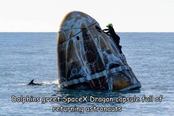     OBRÁZKY pro dnešní den 4980. díl    